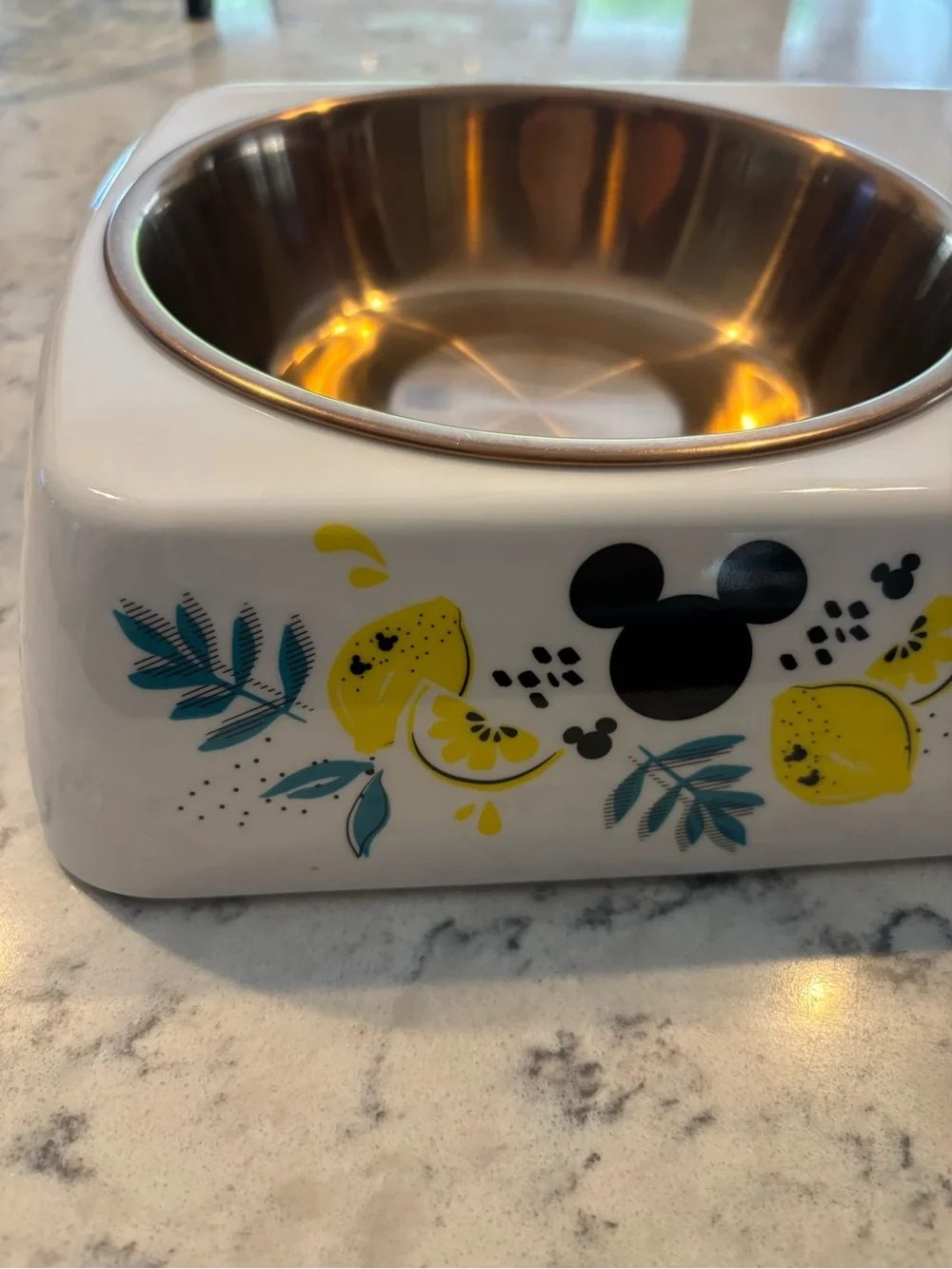 Disney Chewy Mickey Mouse Lemon Double Dog Cat Feeding Good Bowl Melamine